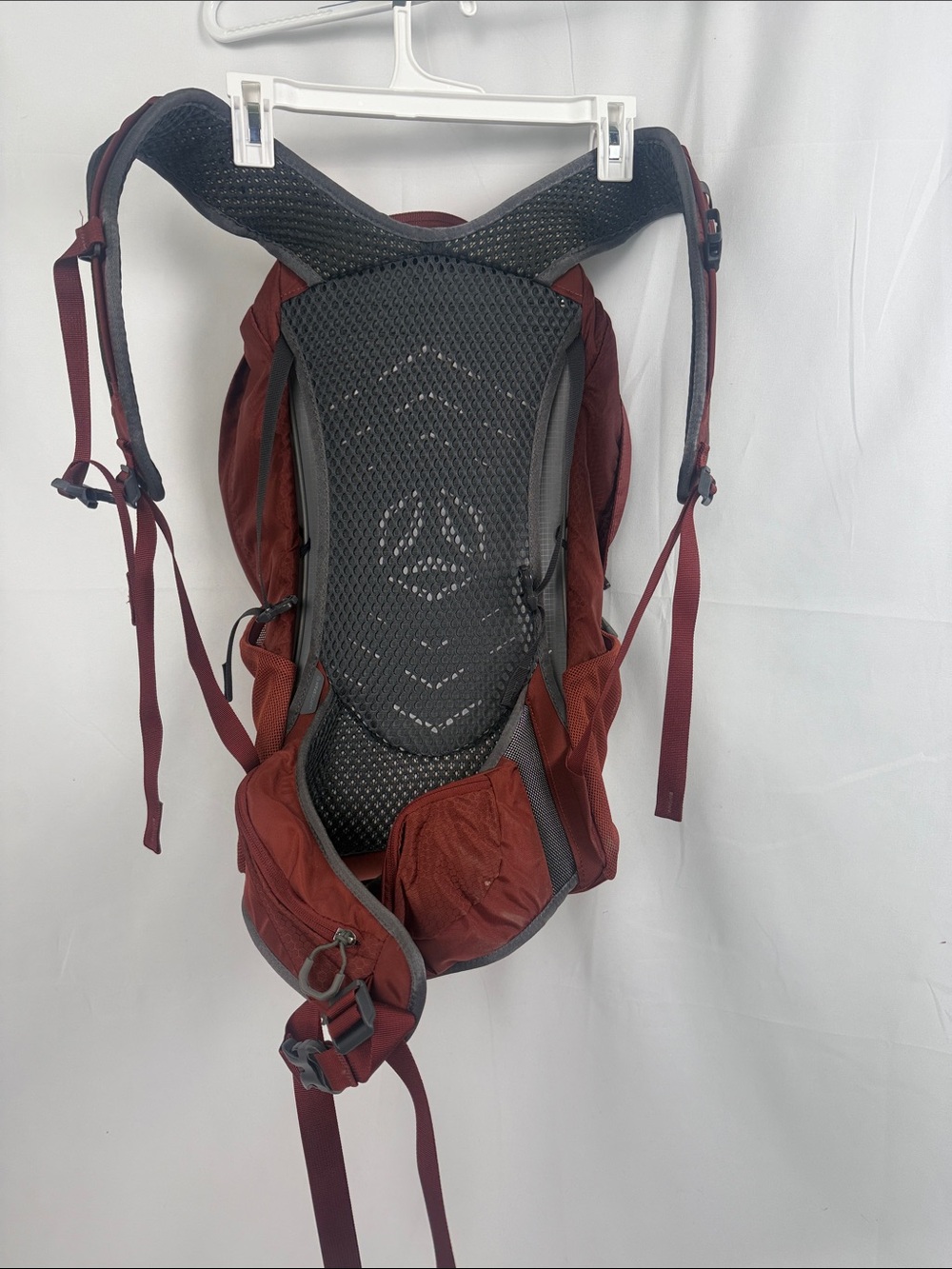 Gregory Citro Daypack Backpack in Deep Brick Red - Picture 5 of 6